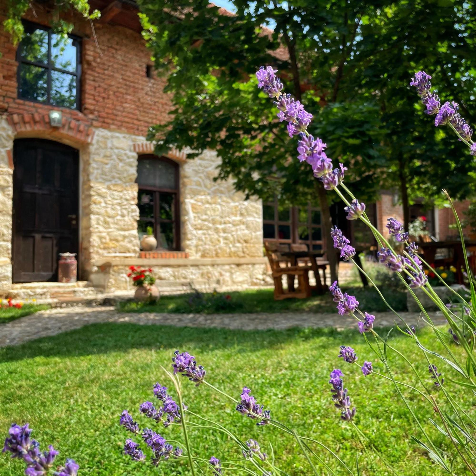 Casa Thea Cheile Nerei Hotel Socolari Exterior photo